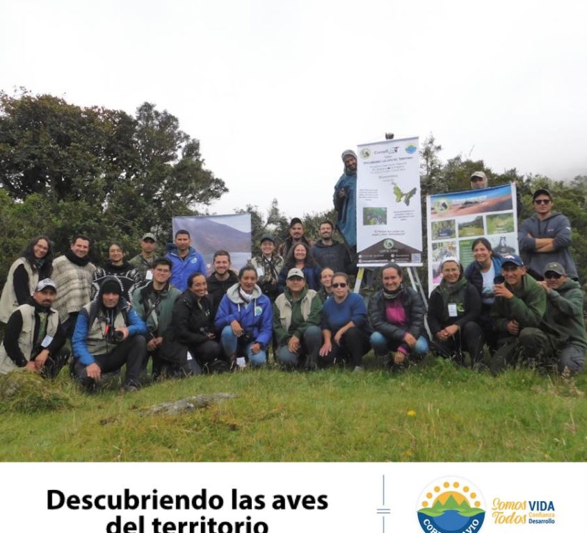 boletin137