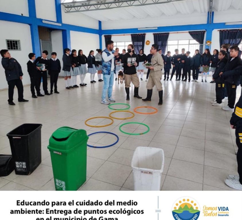 boletin163