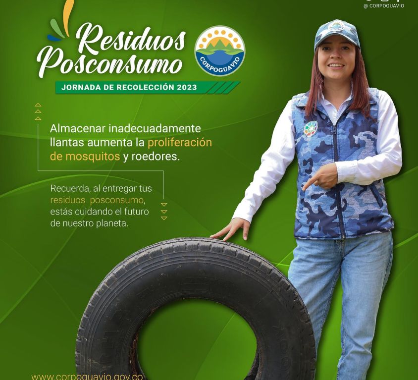boletin173