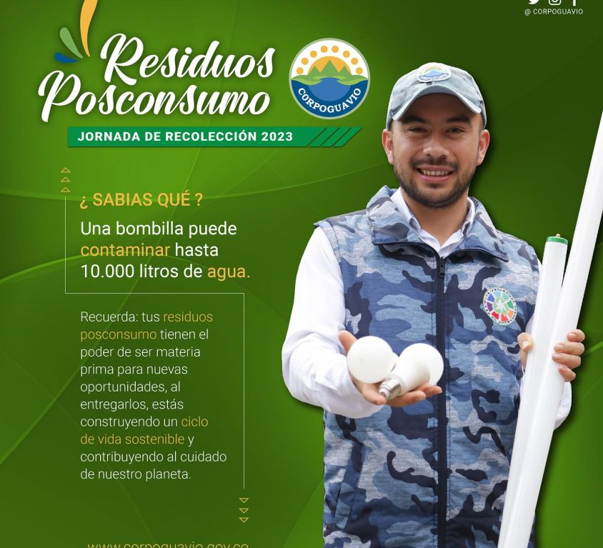 boletin186