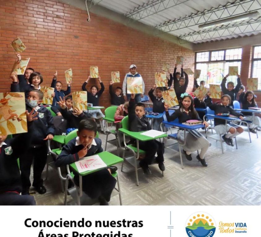 boletin196