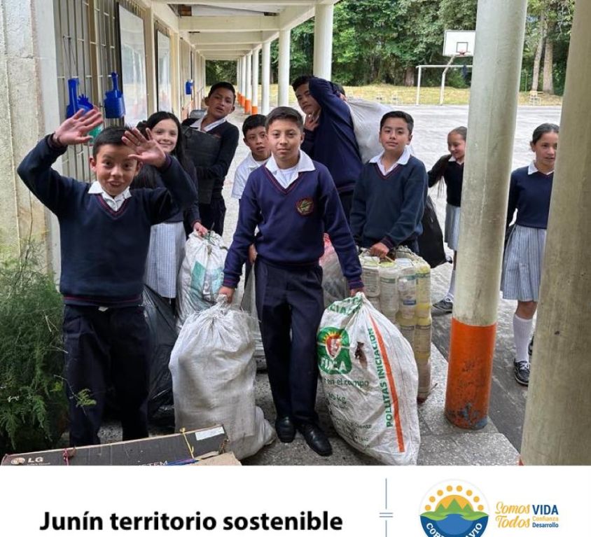 boletin228