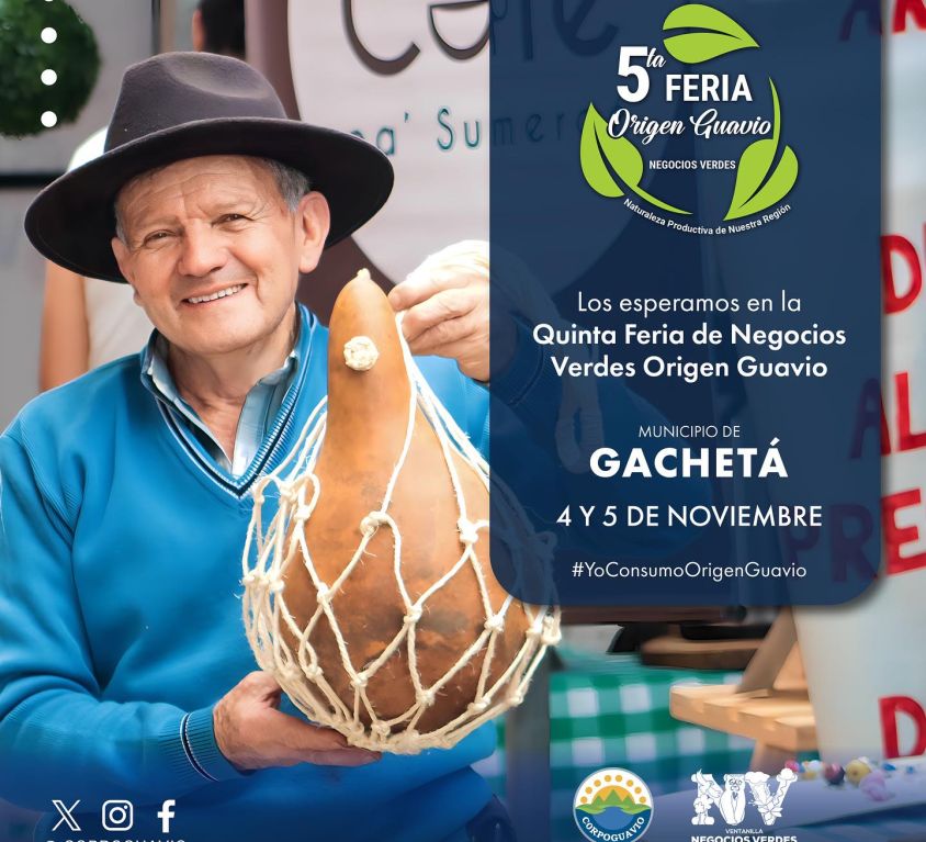 boletin242