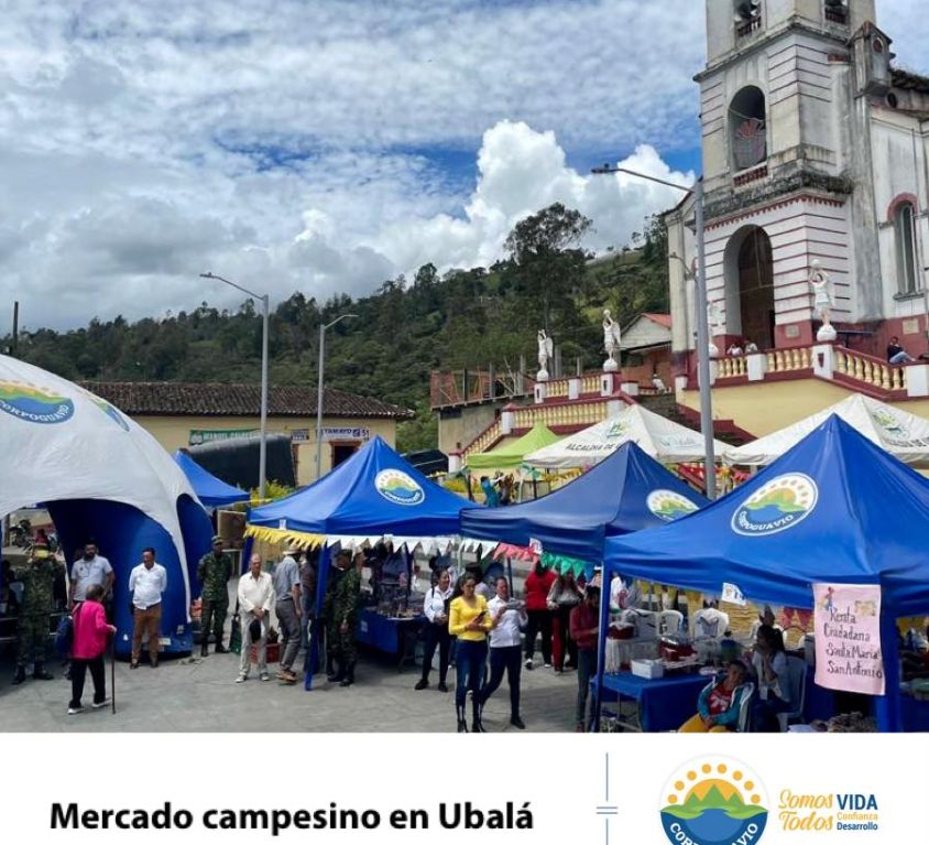 boletin233