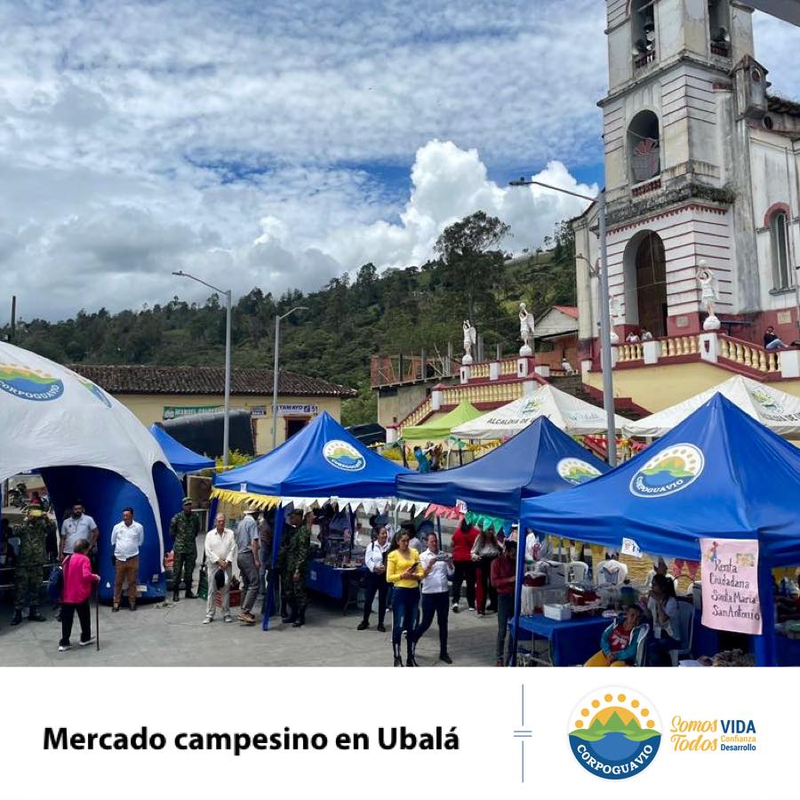 boletin233