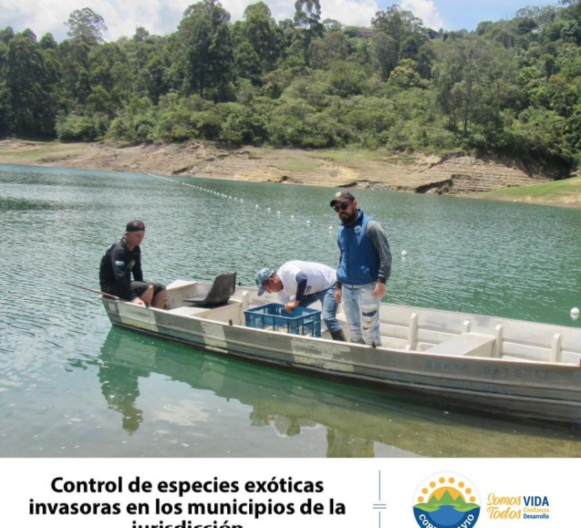 boletin263
