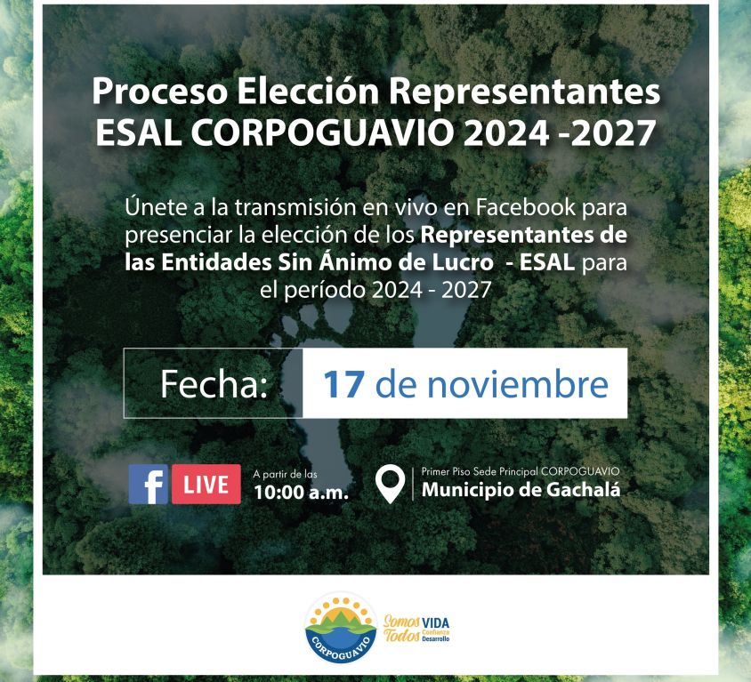 boletin272