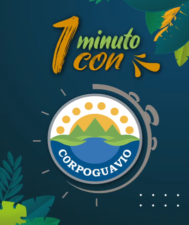 1 minuto