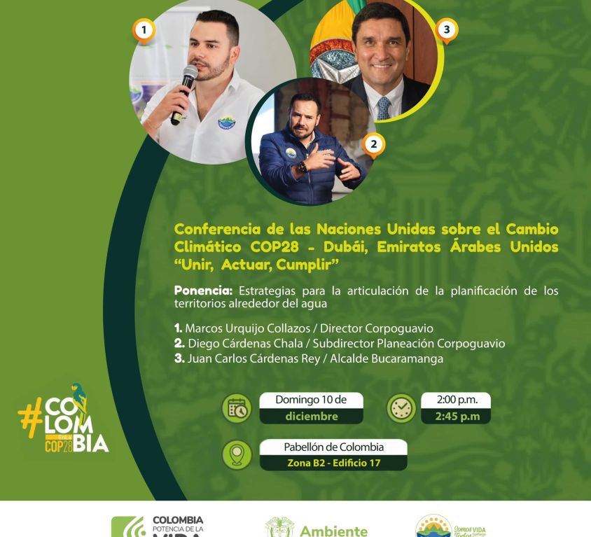 boletin307