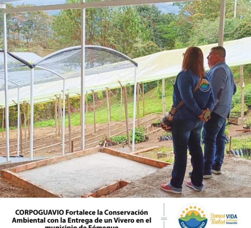 boletin331