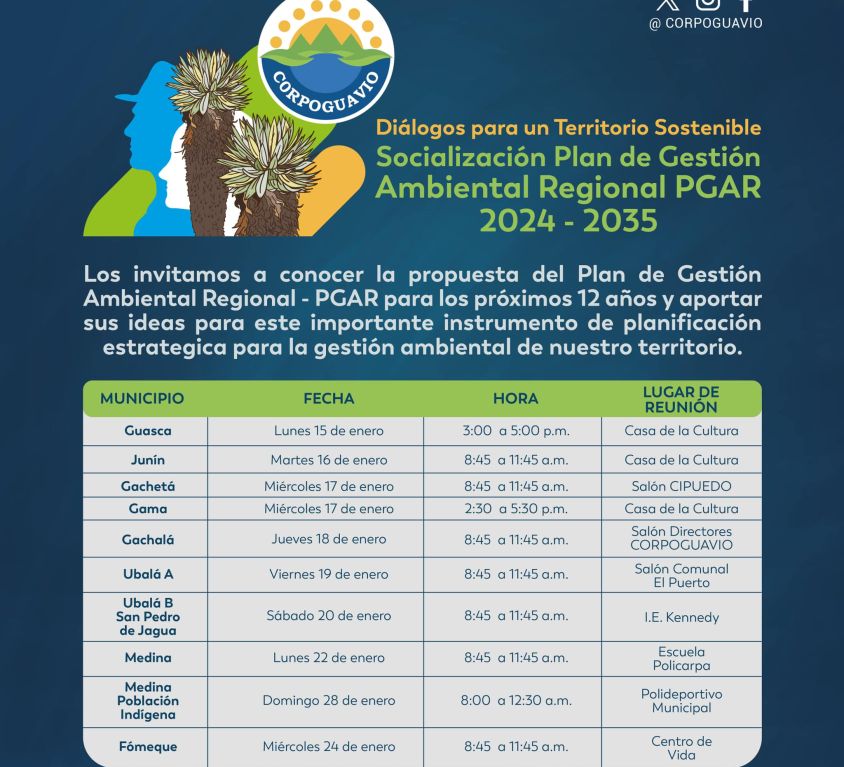 boletin002