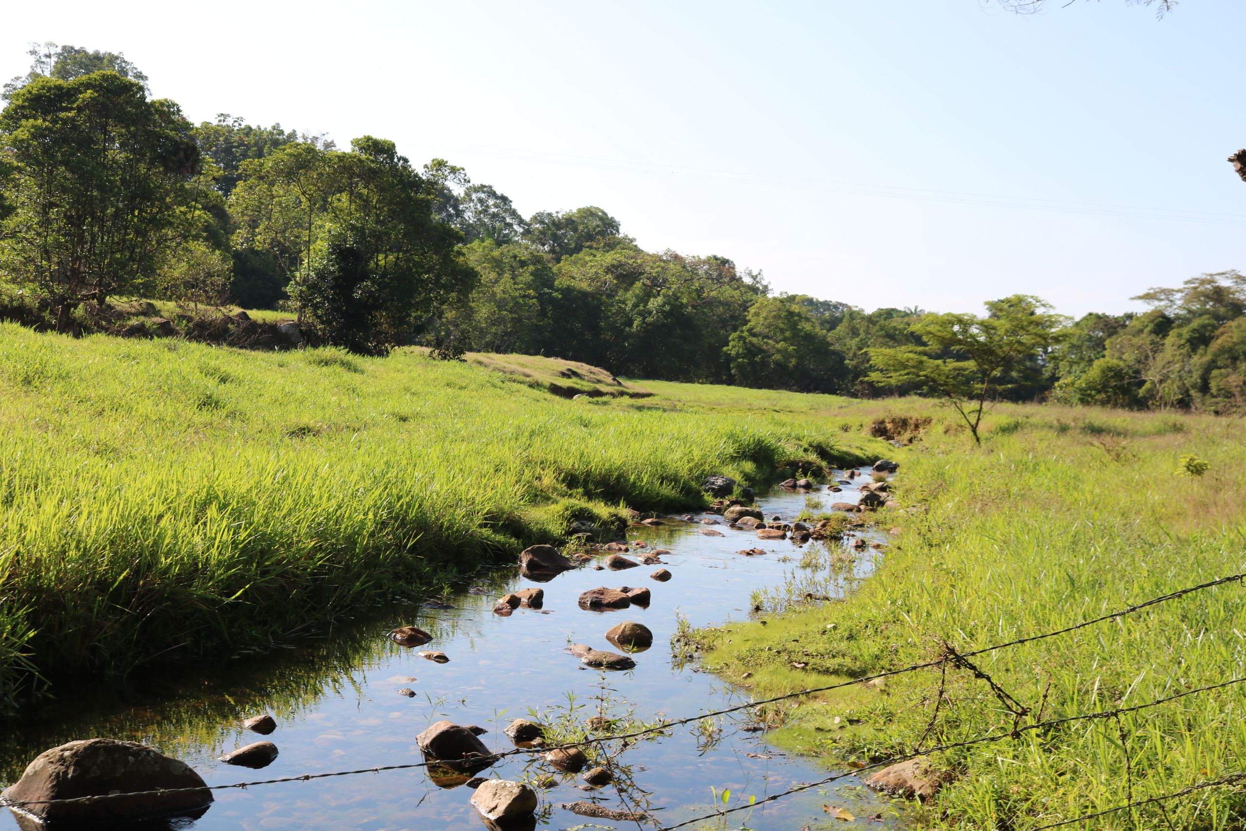 Educación ambiental