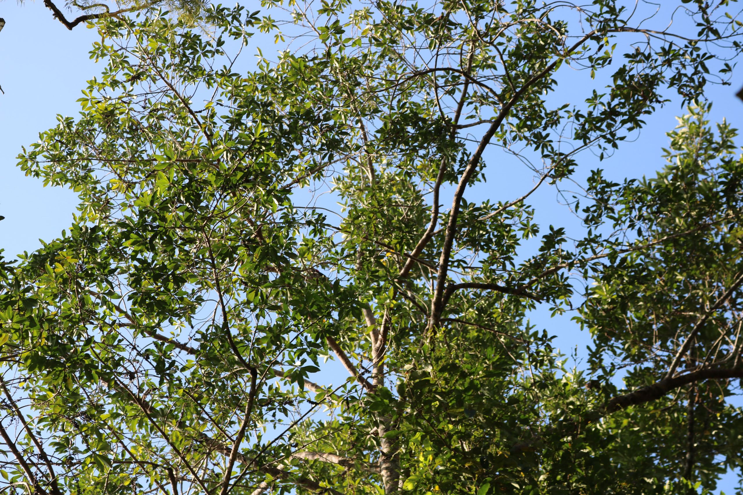 Día Mundial por la Reducción de las Emisiones de CO2