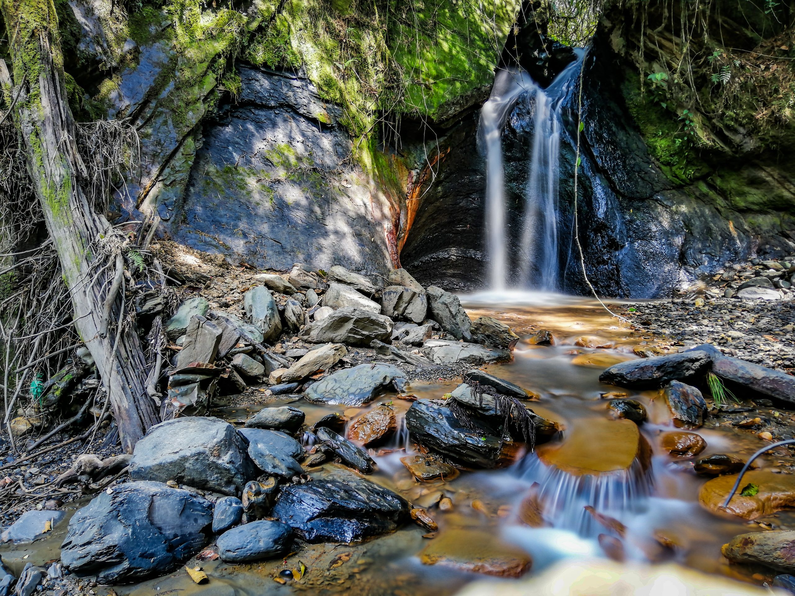 Día mundial del agua
