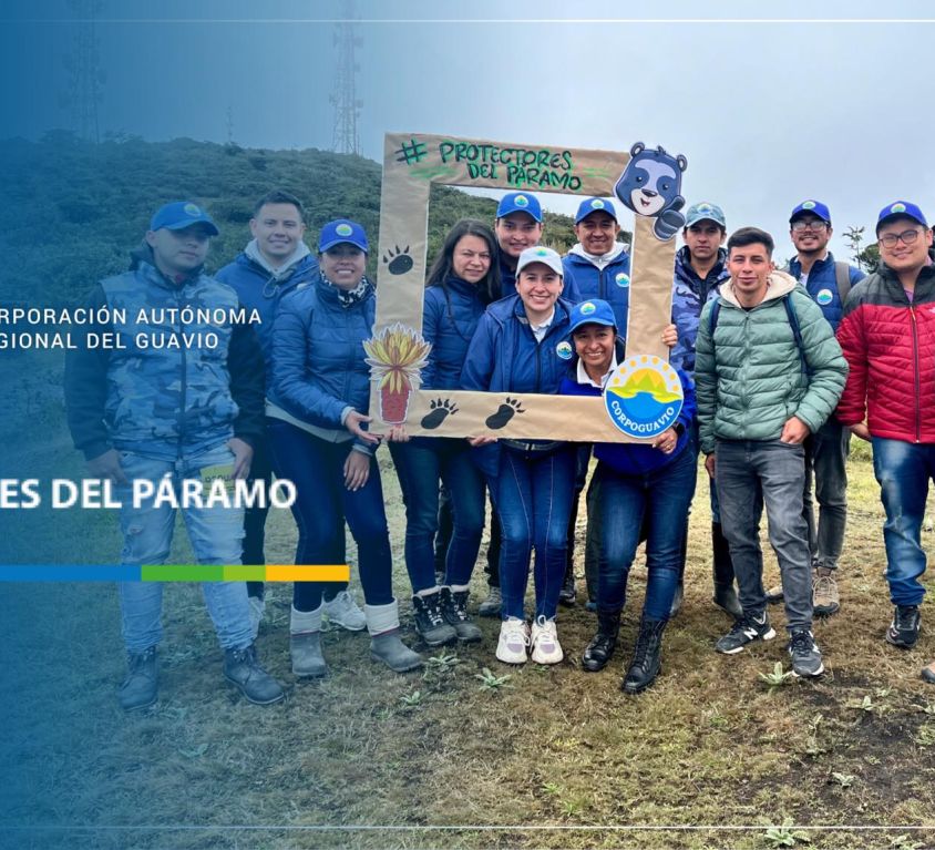 boletin84