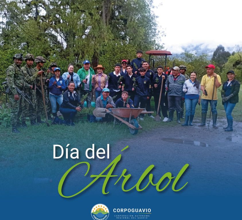 boletin88