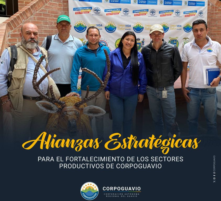 boletin119
