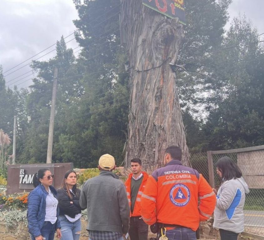 boletin152