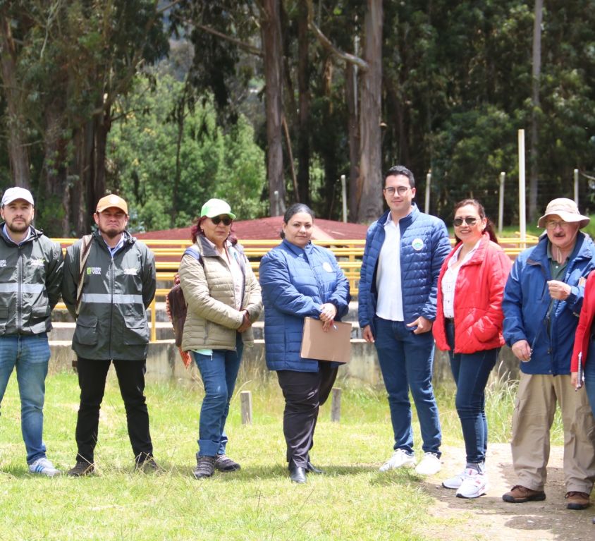 boletin