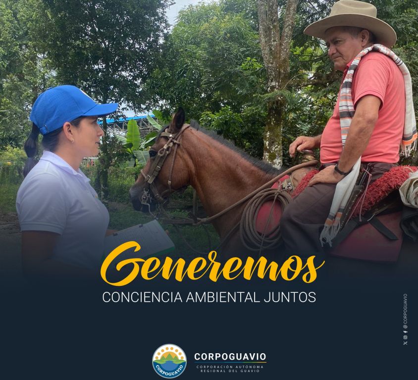 boletin186