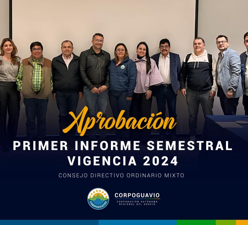 boletin202