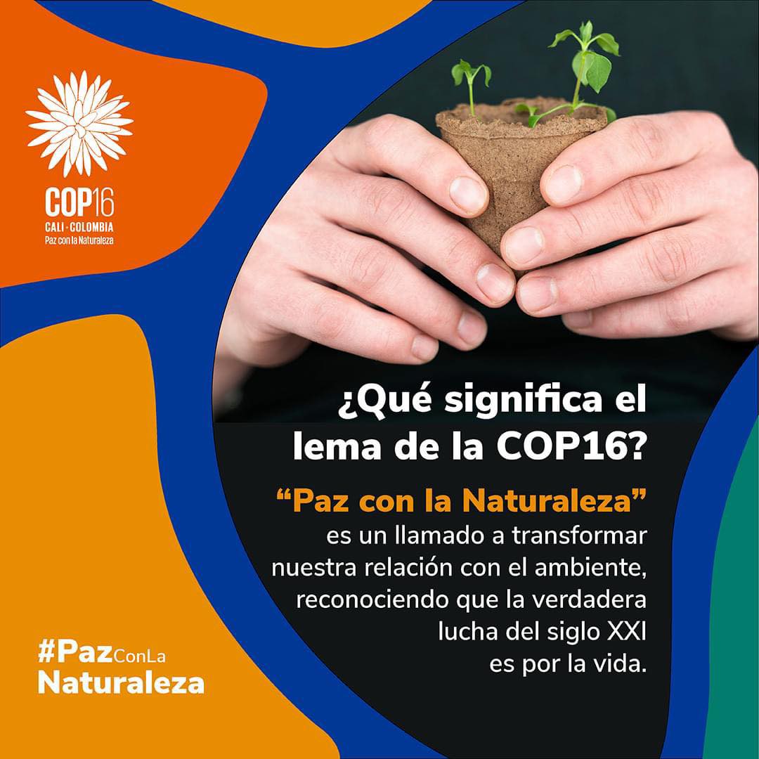 La COP 16
