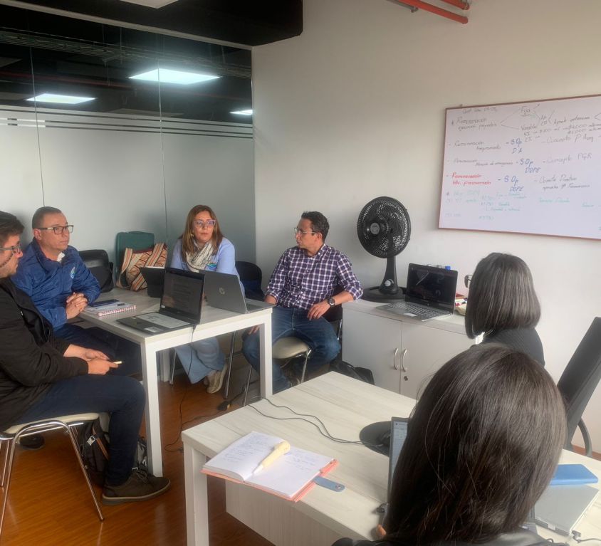 boletin233