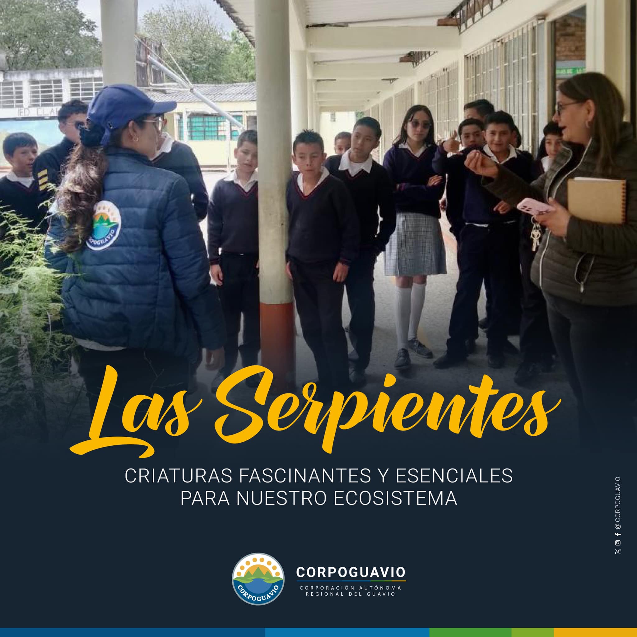 boletin241 boletin241