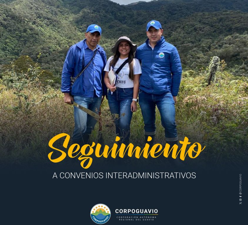 boletin311