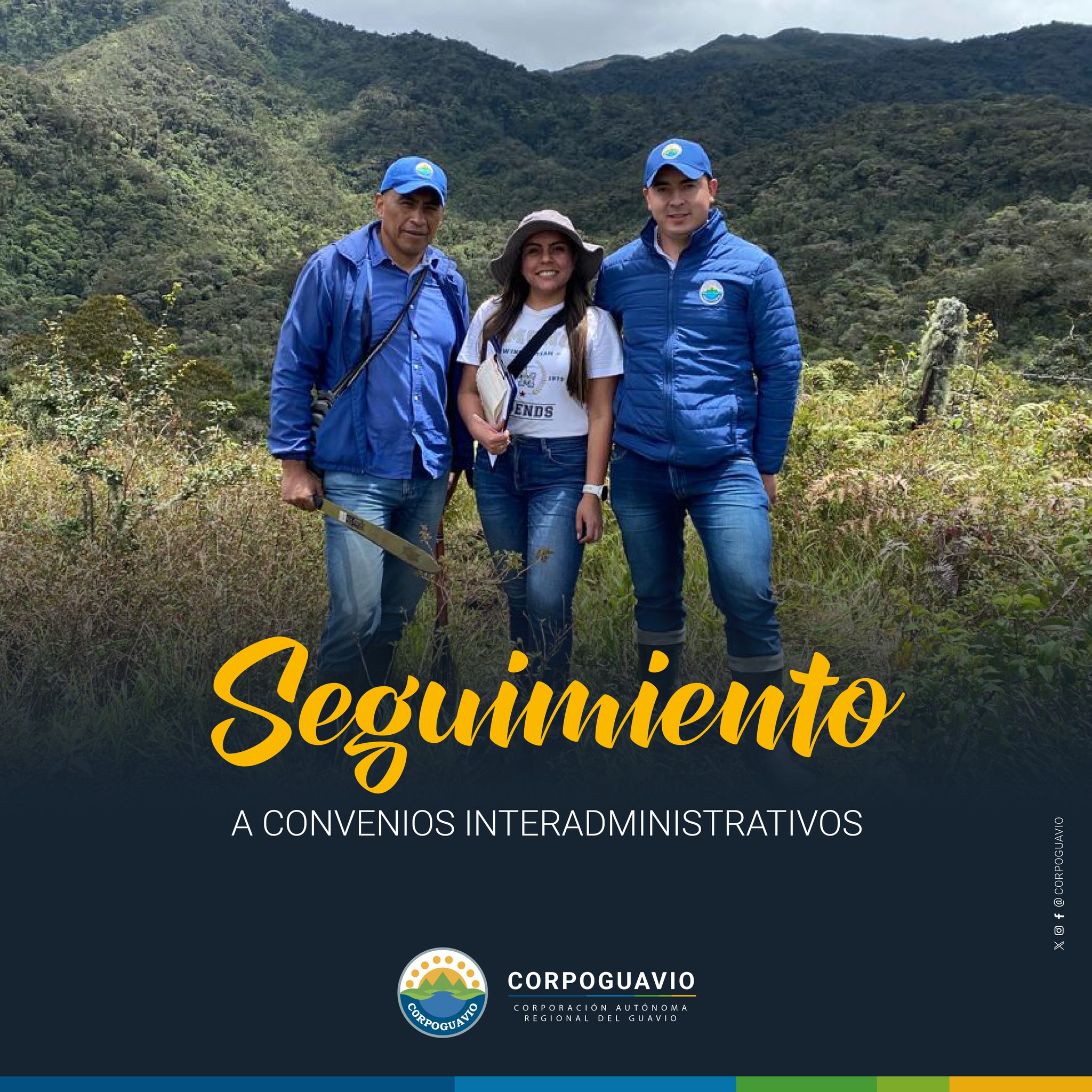 boletin311