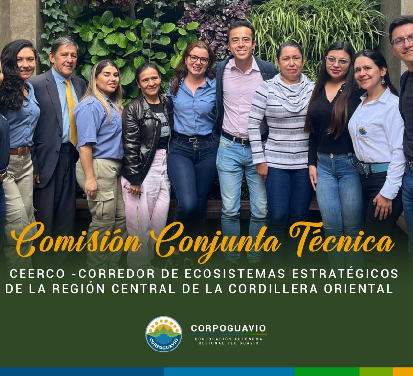 boletin262