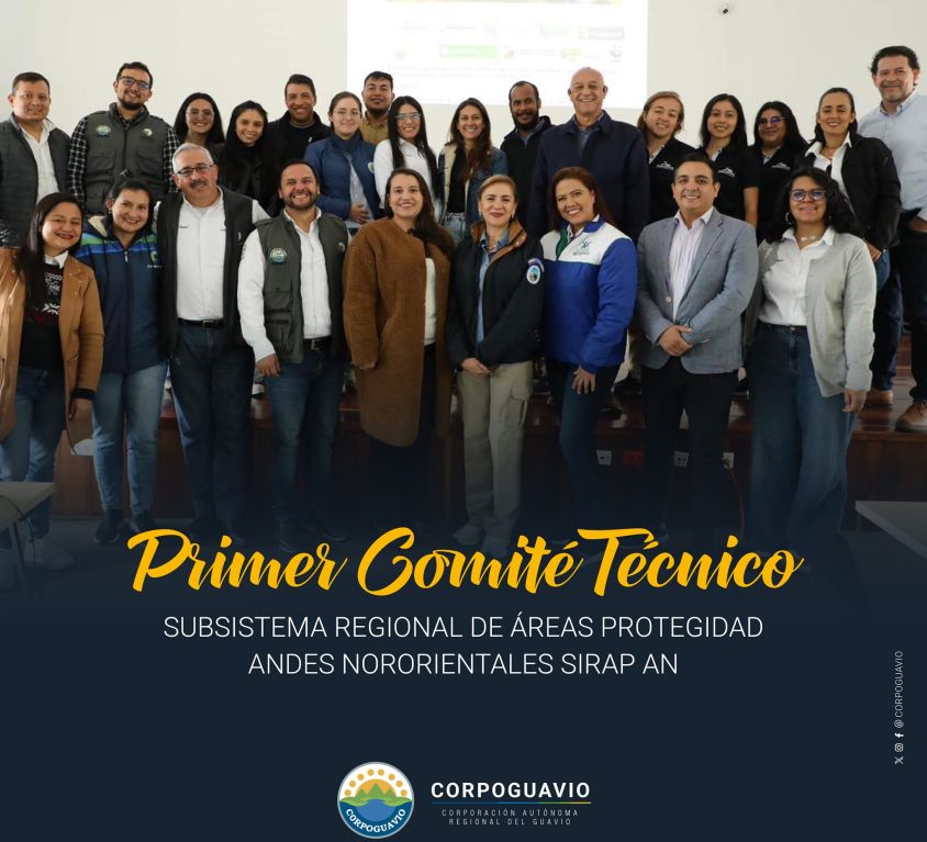 boletin295