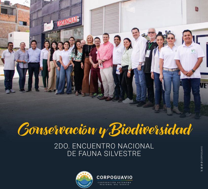 boletin304