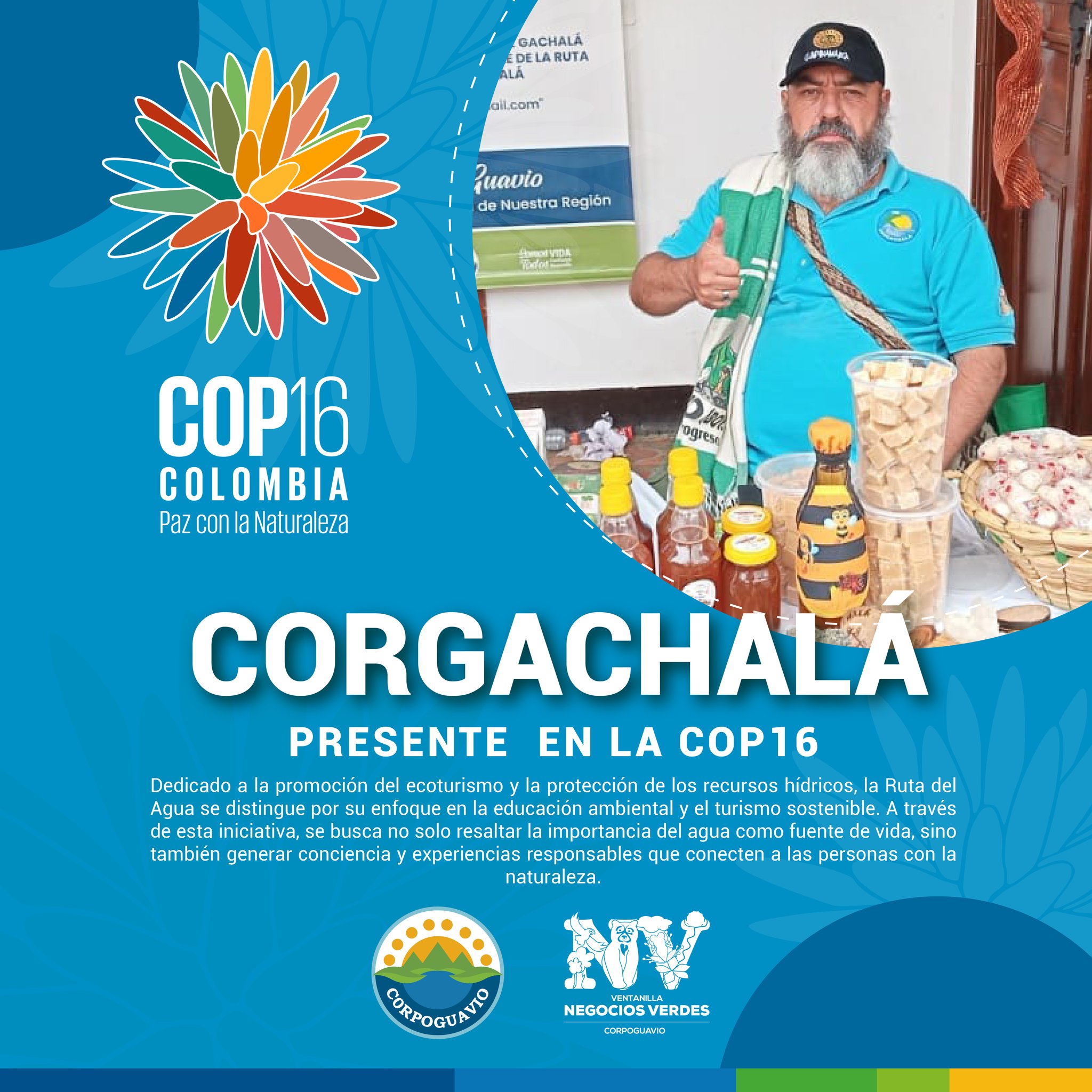 boletin403