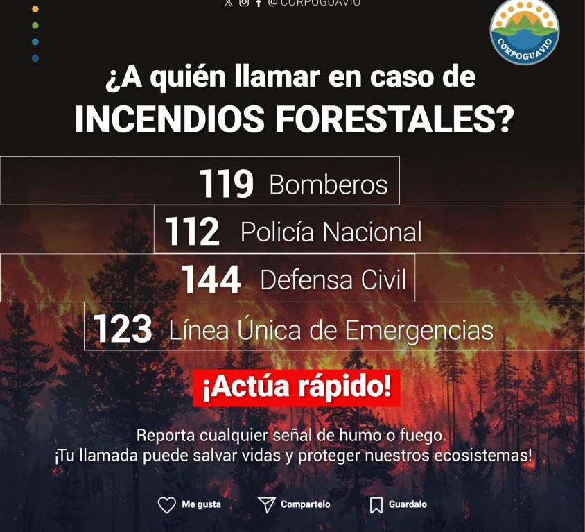 boletin004