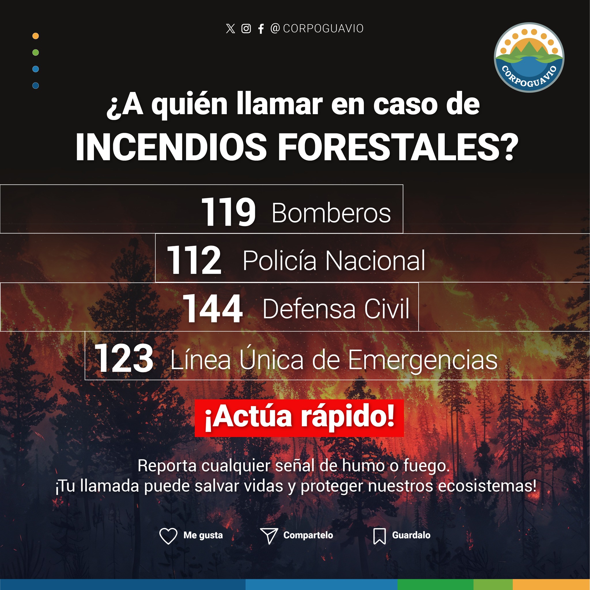 boletin004 boletin004
