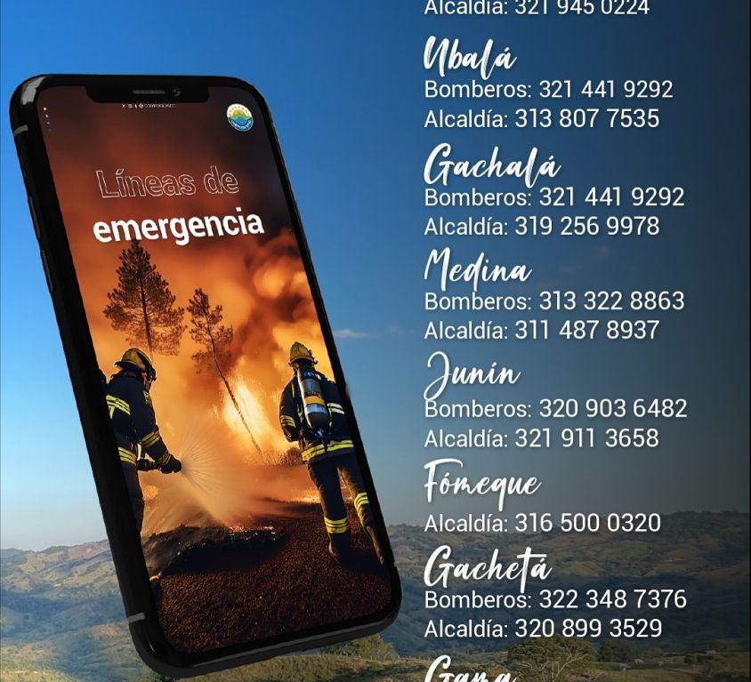 boletin006