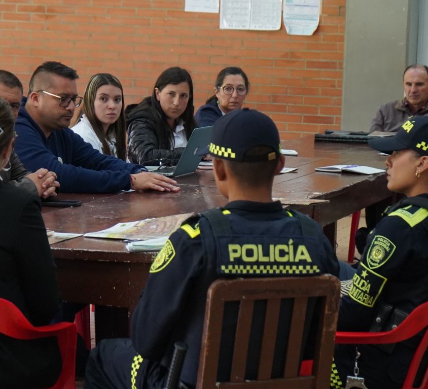 boletin011
