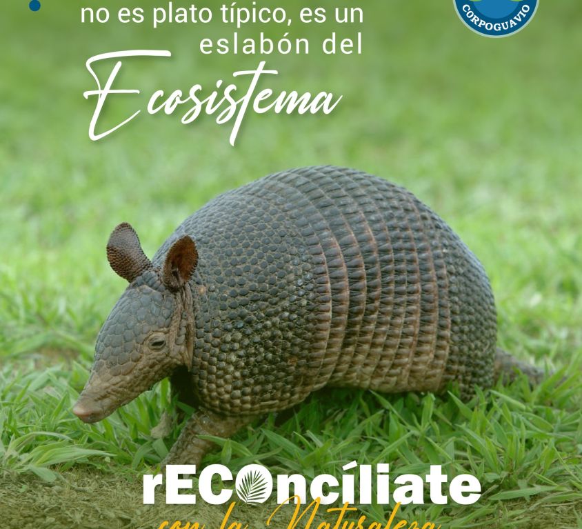 boletin120