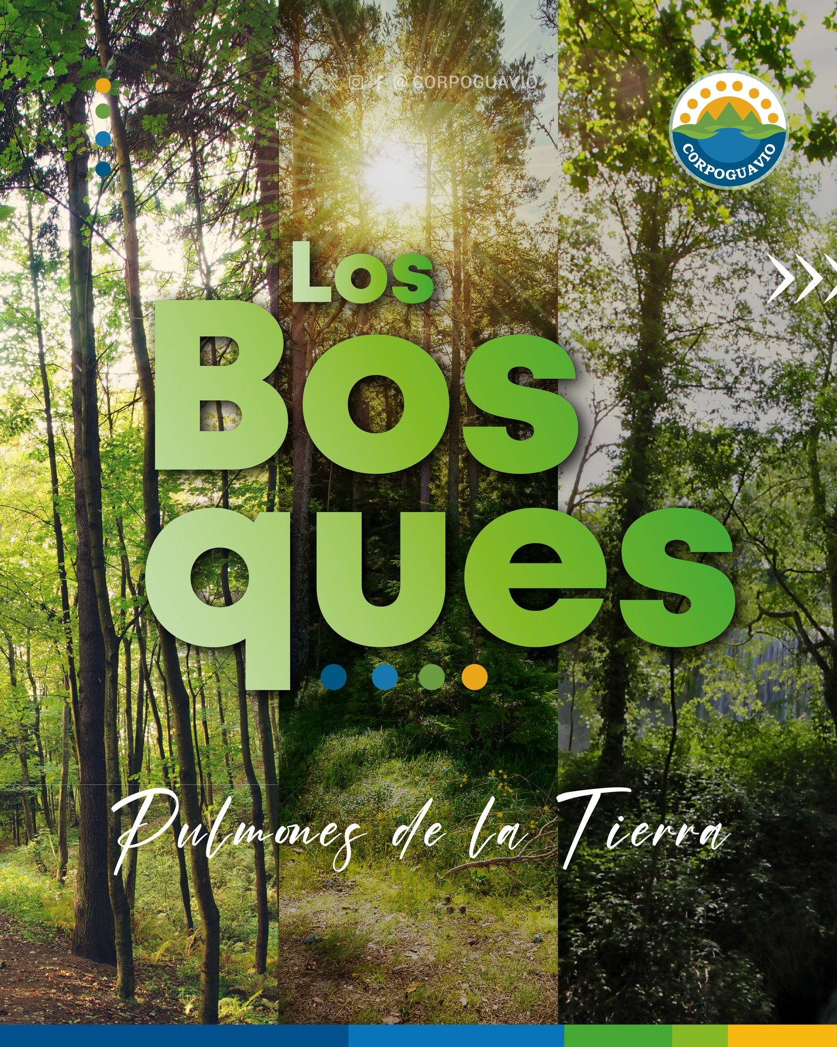 boletin159 boletin159