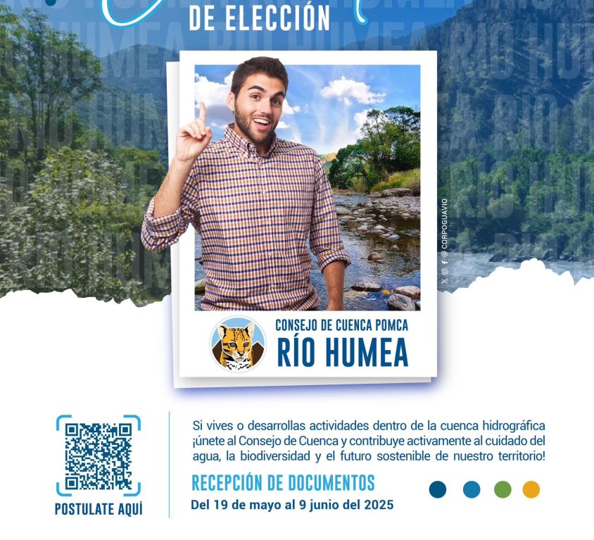 boletin166