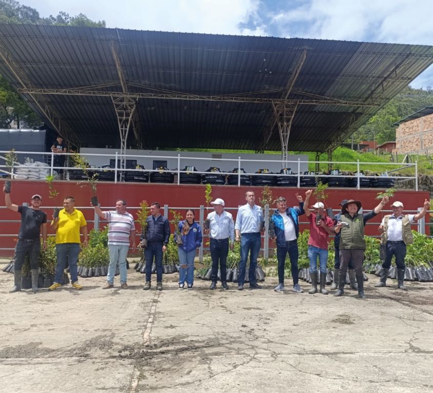 boletin171