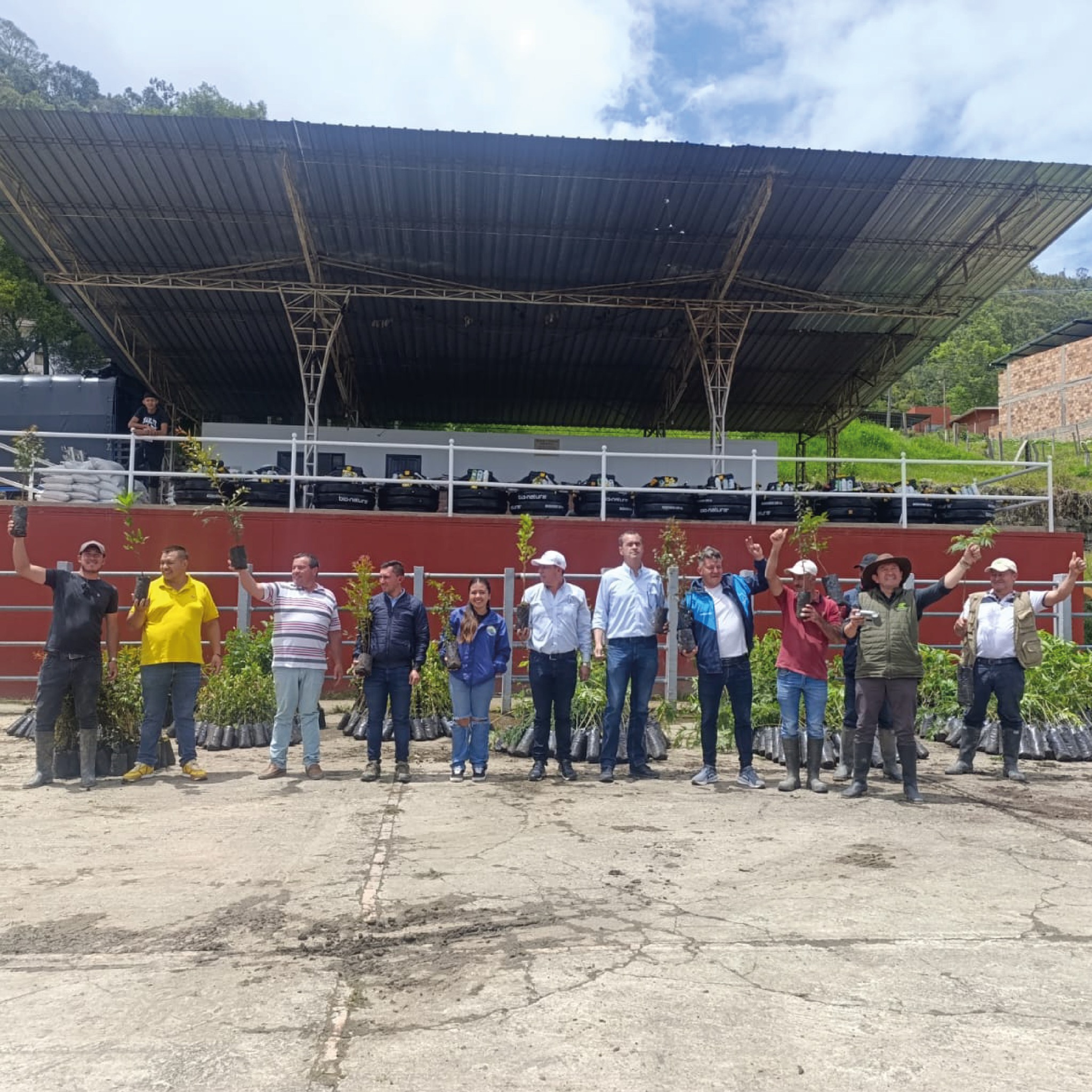boletin171 boletin171