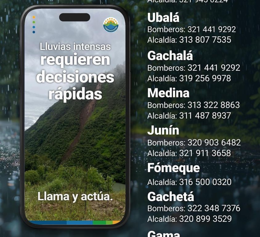 boletin255
