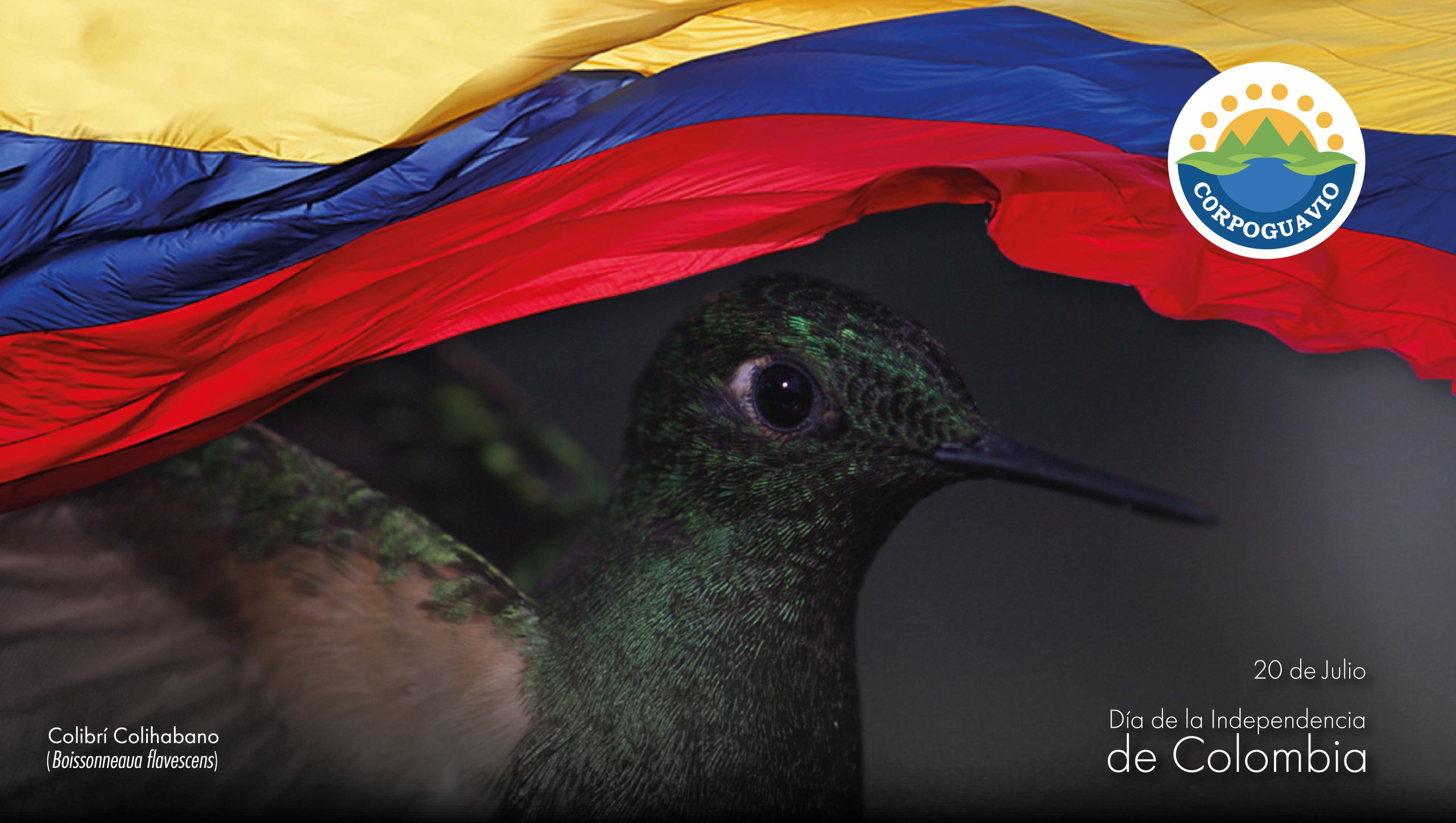 Independencia de Colombia