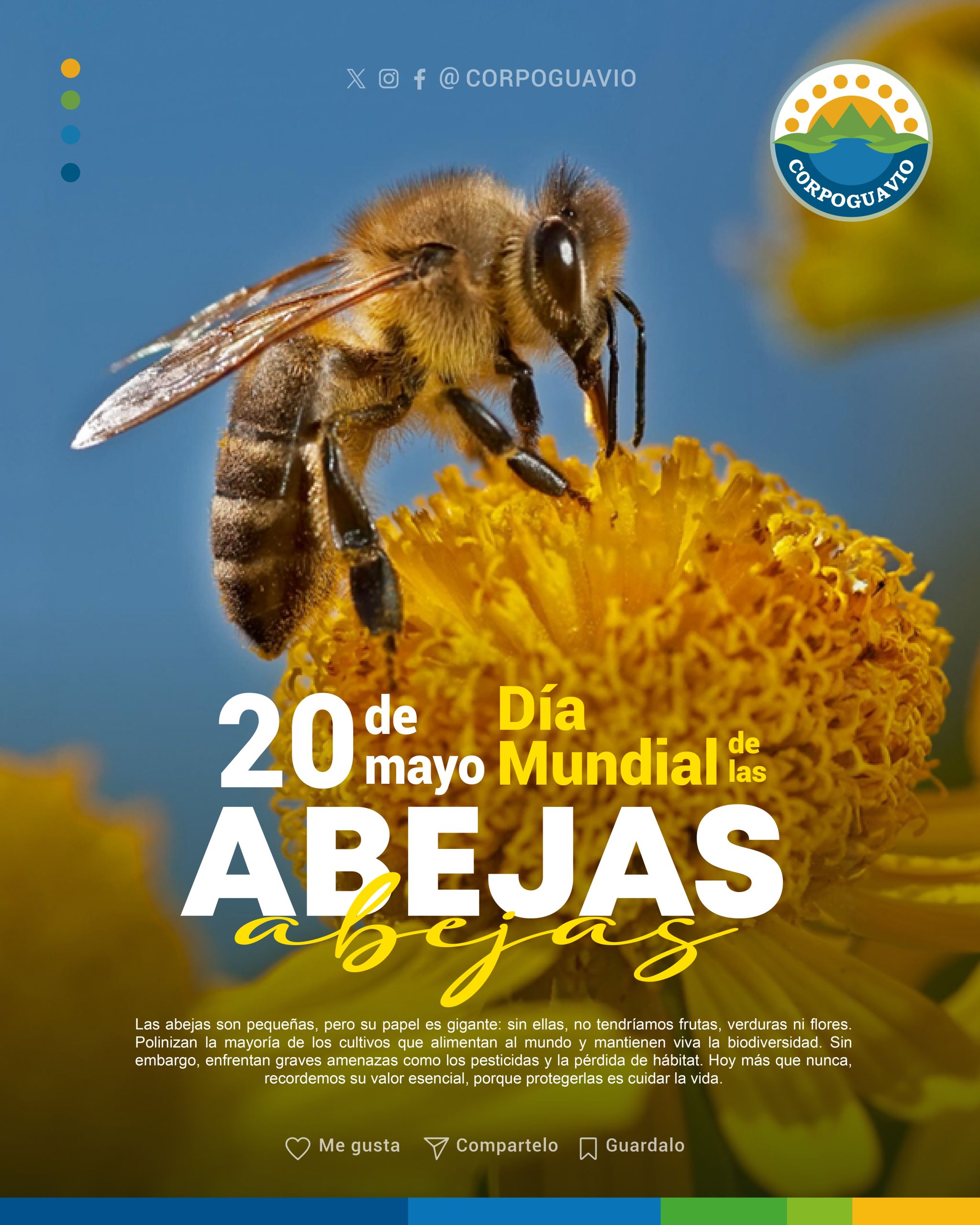 Abejas