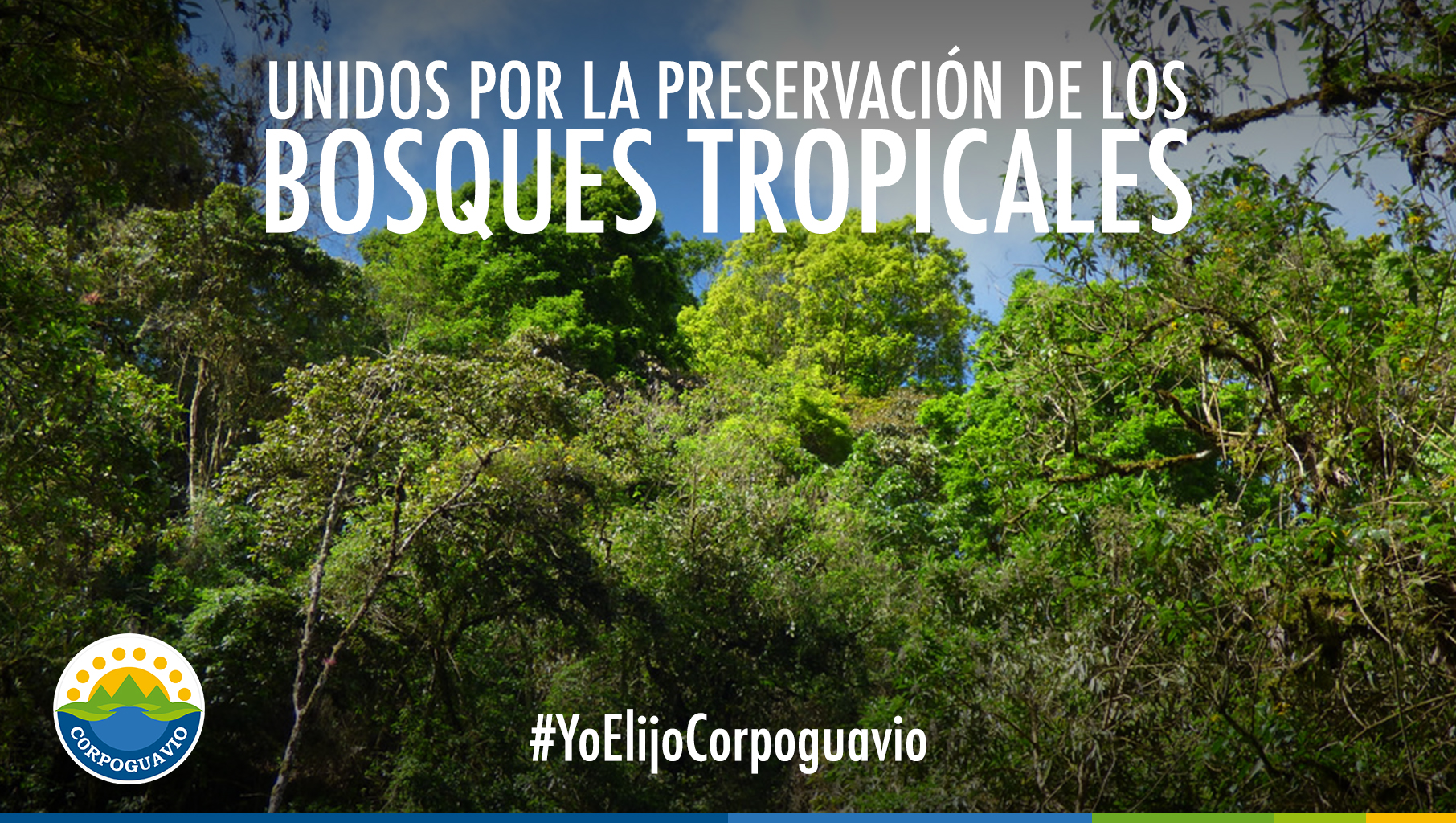 BOSQUES TROPICALES