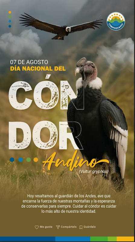 CONDOR