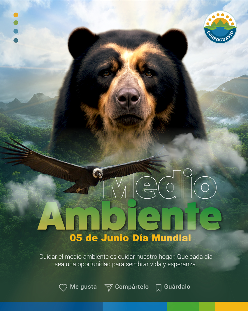 Medio ambiente