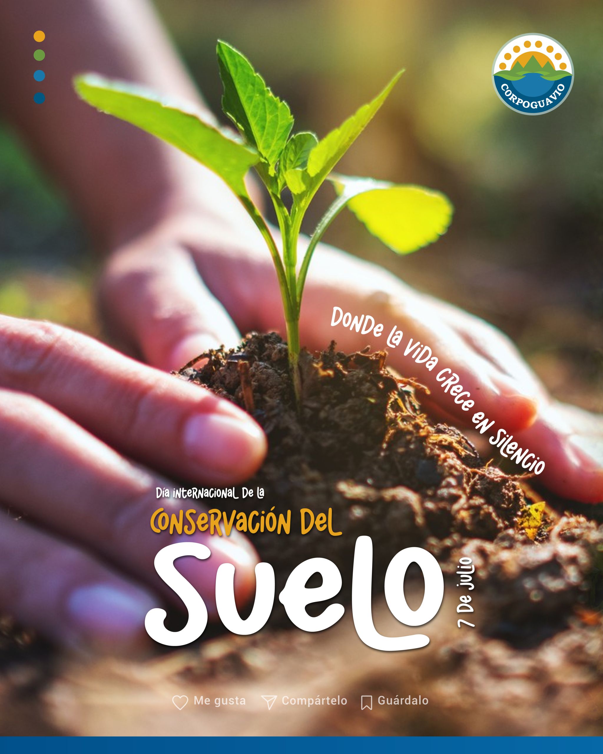 Conservación del suelo
